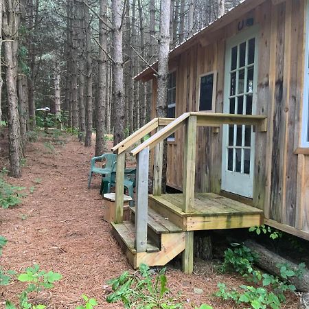 D & K Ranch “Max'S Cabin” Interlaken Exterior photo