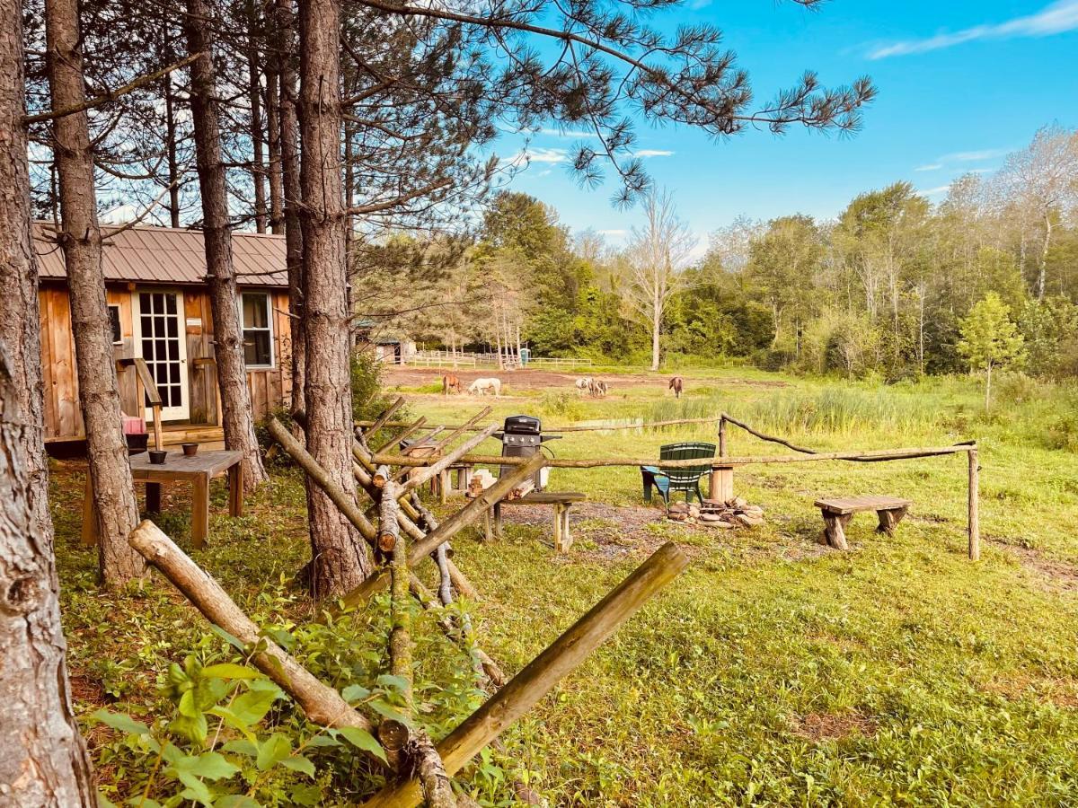 D & K Ranch “Max'S Cabin” Interlaken Exterior photo